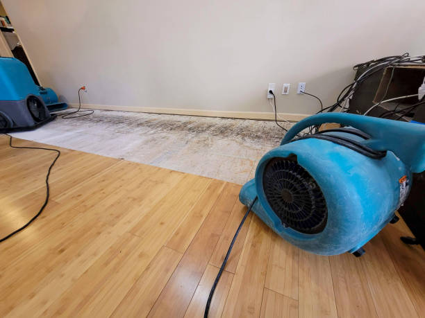 Professional Structural Drying technician working in Stumpy Point, NC